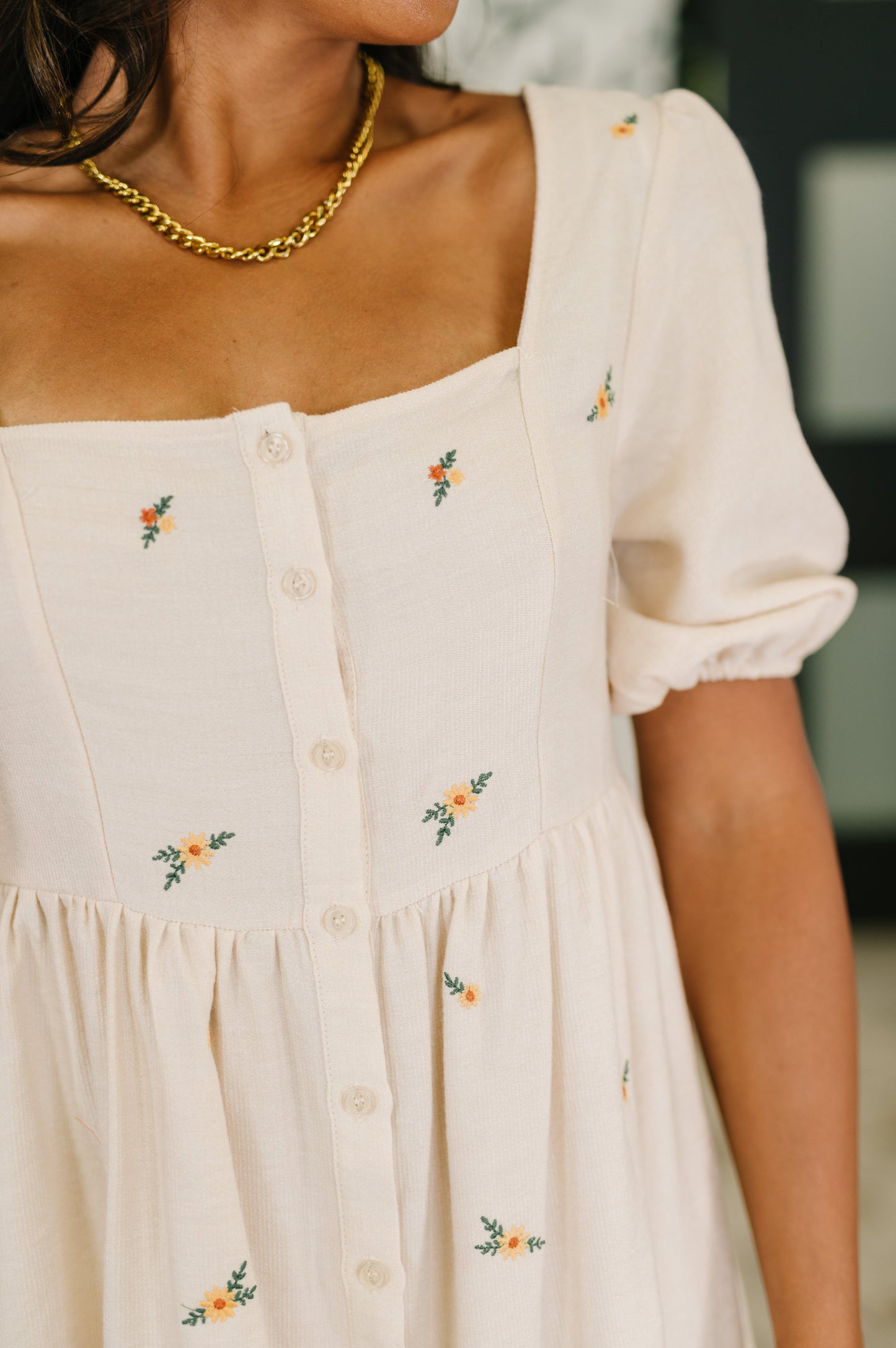 Dream a Little Dream Embroidered Dress